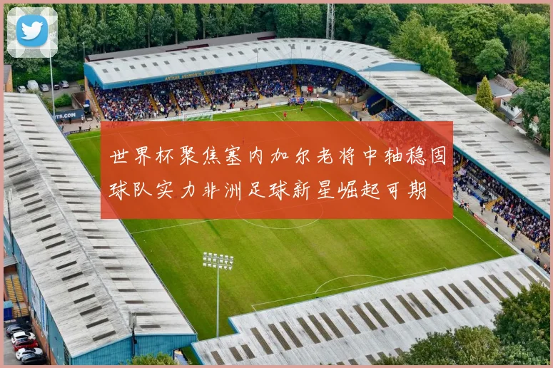 世界杯聚焦塞内加尔老将中轴稳固球队实力非洲足球新星崛起可期